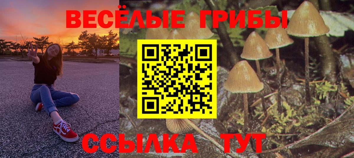 Галлюциногенные грибы Psilocybine cubensis  продажа наркотиков  Верхняя Пышма  Вход с VPN 