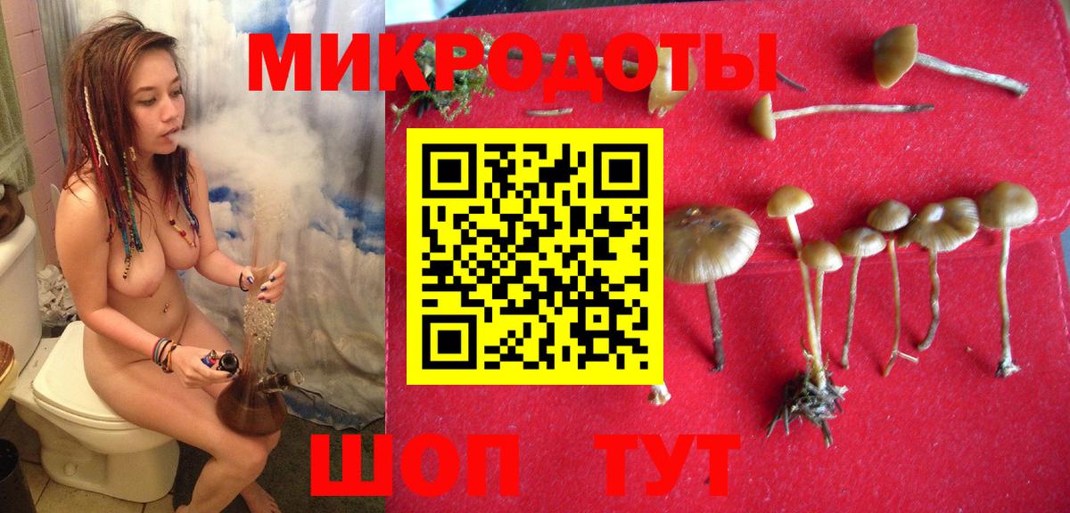 Псилоцибиновые грибы MAGIC MUSHROOMS Верхняя Пышма